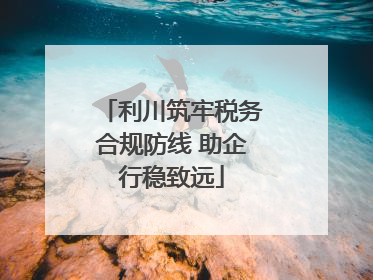 利川筑牢税务合规防线 助企行稳致远