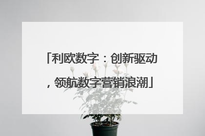 利欧数字：创新驱动，领航数字营销浪潮