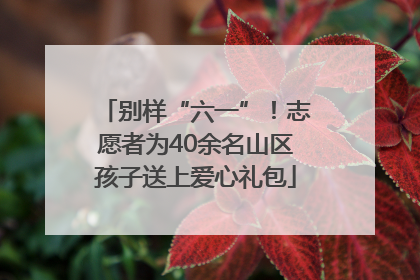 别样“六一”！志愿者为40余名山区孩子送上爱心礼包
