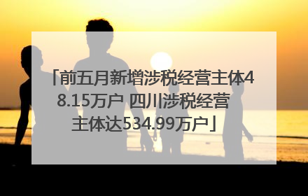 前五月新增涉税经营主体48.15万户 四川涉税经营主体达534.99万户