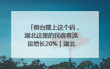 前台摆上这个码，湖北这里的民宿客流量增长20%｜湖北市场监管所的故事