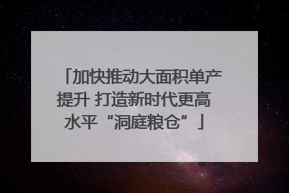 加快推动大面积单产提升 打造新时代更高水平“洞庭粮仓”