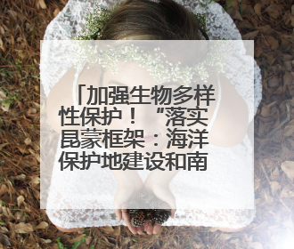 加强生物多样性保护！“落实昆蒙框架：海洋保护地建设和南极公海生态保护”主题论坛将举办