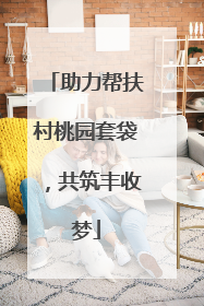 助力帮扶村桃园套袋，共筑丰收梦
