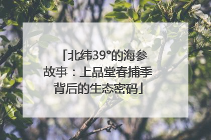 北纬39°的海参故事：上品堂春捕季背后的生态密码