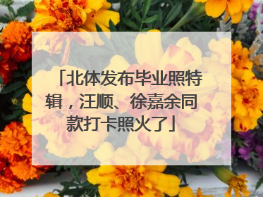 北体发布毕业照特辑，汪顺、徐嘉余同款打卡照火了