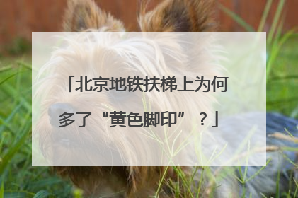 北京地铁扶梯上为何多了“黄色脚印”？