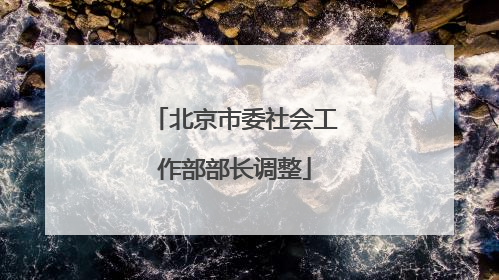 北京市委社会工作部部长调整