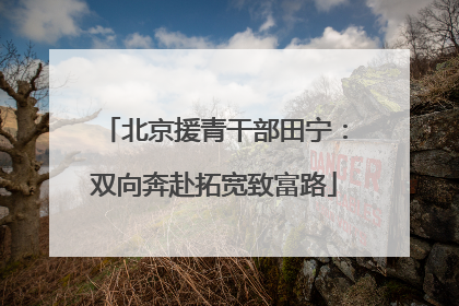 北京援青干部田宁：双向奔赴拓宽致富路