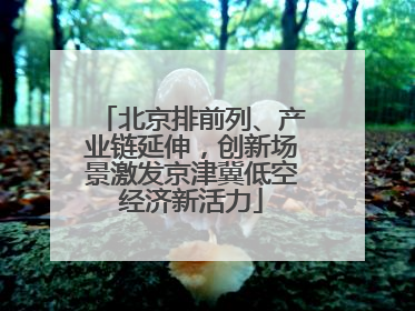 北京排前列、产业链延伸，创新场景激发京津冀低空经济新活力