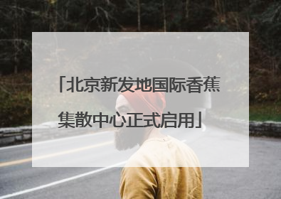 北京新发地国际香蕉集散中心正式启用