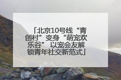 北京10号线“青创村”变身“萌宠欢乐谷” 以宠会友解锁青年社交新范式