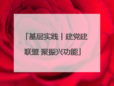 基层实践丨建党建联盟 聚振兴功能