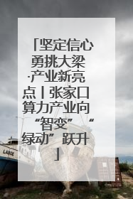 坚定信心 勇挑大梁·产业新亮点丨张家口算力产业向“智变”“绿动”跃升