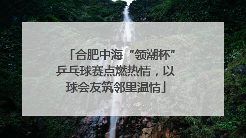 合肥中海“领潮杯”乒乓球赛点燃热情，以球会友筑邻里温情