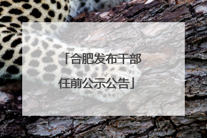 合肥发布干部任前公示公告