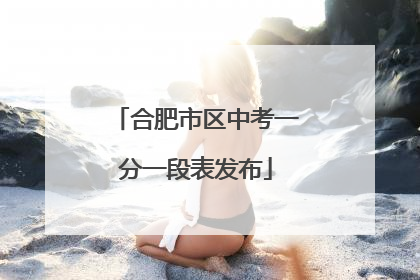合肥市区中考一分一段表发布