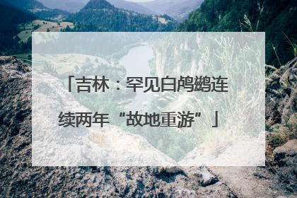 吉林：罕见白鸬鹚连续两年“故地重游”