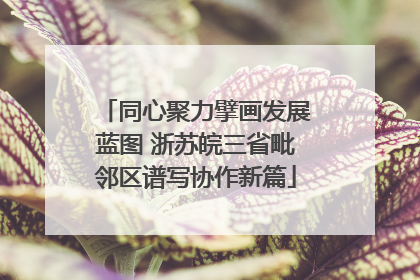 同心聚力擘画发展蓝图 浙苏皖三省毗邻区谱写协作新篇