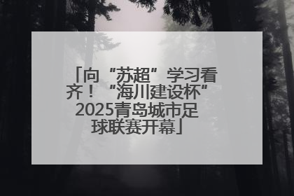向“苏超”学习看齐！“海川建设杯”2025青岛城市足球联赛开幕