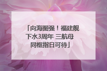 向海图强！福建舰下水3周年 三航母同框指日可待
