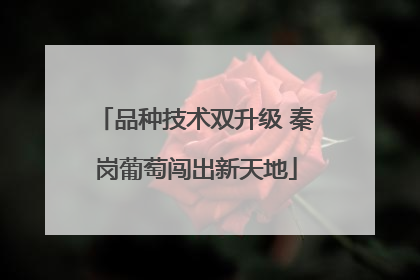 品种技术双升级 秦岗葡萄闯出新天地