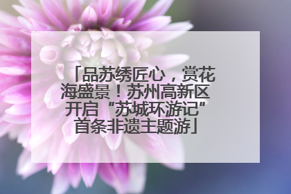 品苏绣匠心，赏花海盛景！苏州高新区开启“苏城环游记”首条非遗主题游