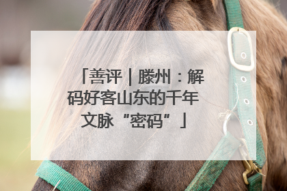善评｜滕州：解码好客山东的千年文脉“密码”