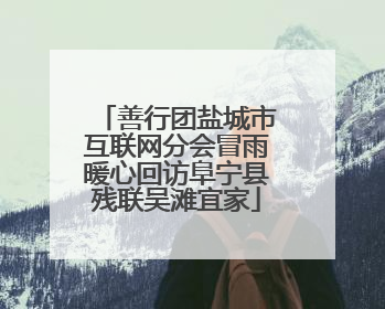 善行团盐城市互联网分会冒雨暖心回访阜宁县残联吴滩宜家