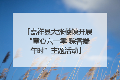 嘉祥县大张楼镇开展“童心六一季 粽香端午时”主题活动