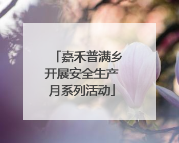嘉禾普满乡开展安全生产月系列活动