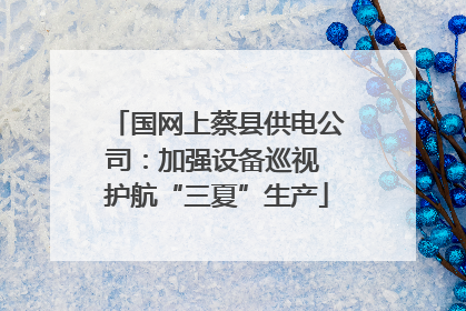 国网上蔡县供电公司：加强设备巡视 护航“三夏”生产