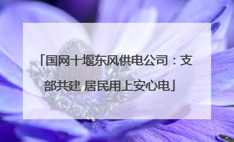 国网十堰东风供电公司：支部共建 居民用上安心电