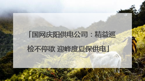 国网庆阳供电公司：精益巡检不停歇 迎峰度夏保供电