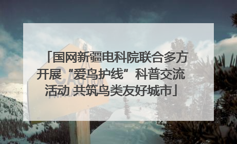 国网新疆电科院联合多方开展“爱鸟护线”科普交流活动 共筑鸟类友好城市