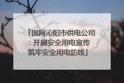 国网沁阳市供电公司：开展安全用电宣传 筑牢安全用电防线