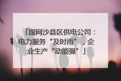 国网沙县区供电公司：电力服务“及时雨”，企业生产“动能强”