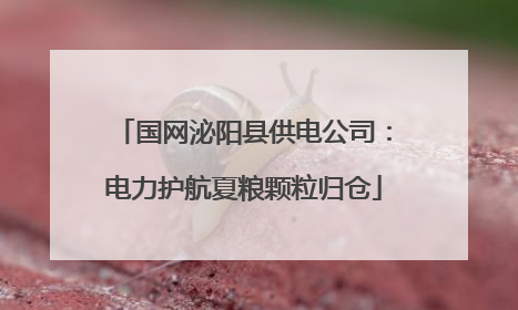国网泌阳县供电公司：电力护航夏粮颗粒归仓