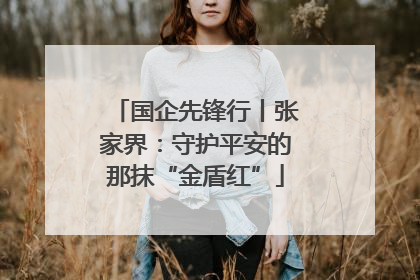国企先锋行丨张家界：守护平安的那抹“金盾红”