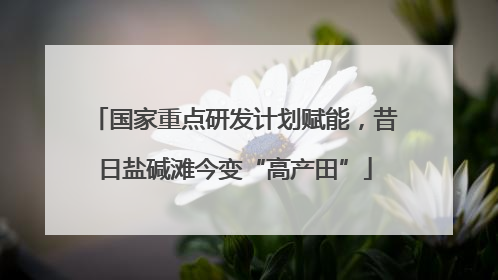 国家重点研发计划赋能，昔日盐碱滩今变“高产田”