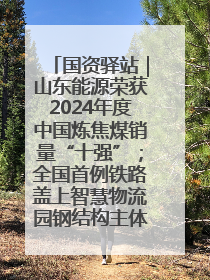 国资驿站｜山东能源荣获2024年度中国炼焦煤销量“十强”；全国首例铁路盖上智慧物流园钢结构主体完工