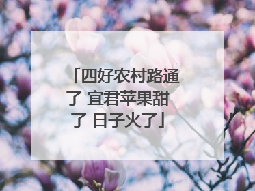 四好农村路通了 宜君苹果甜了 日子火了