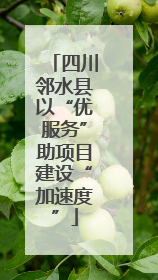 四川邻水县以“优服务”助项目建设“加速度”