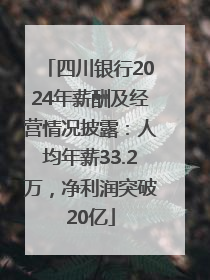 四川银行2024年薪酬及经营情况披露：人均年薪33.2万，净利润突破20亿