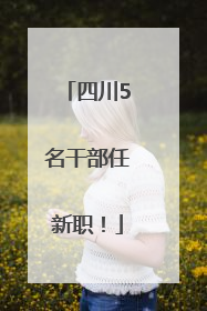 四川5名干部任新职！