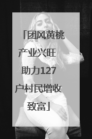 团风黄桃产业兴旺 助力127户村民增收致富