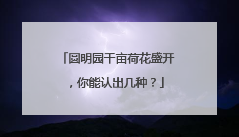 圆明园千亩荷花盛开，你能认出几种？