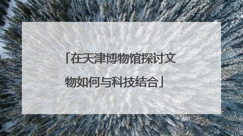 在天津博物馆探讨文物如何与科技结合