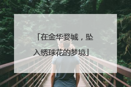 在金华婺城，坠入绣球花的梦境