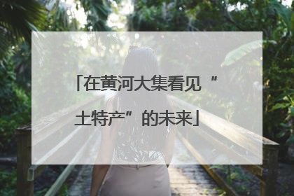 在黄河大集看见“土特产”的未来